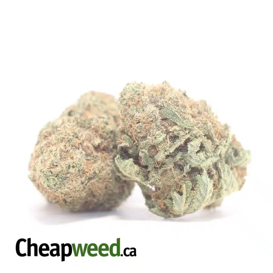 CITRIX 3 I $ 68 Oz - Citrix