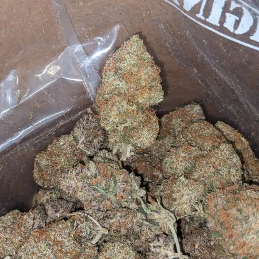 Chocolate Gelato 4 I Chocolate Gelato