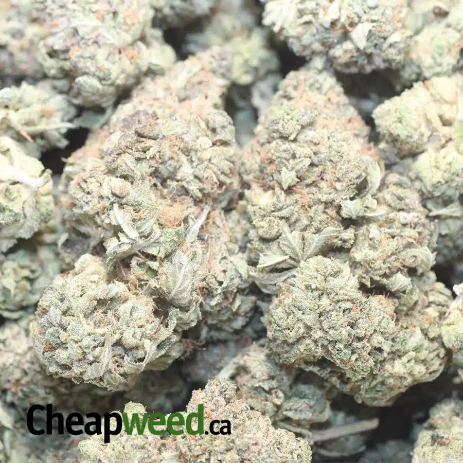 DANK STAR 1 I $ 71 Oz - Dank Star