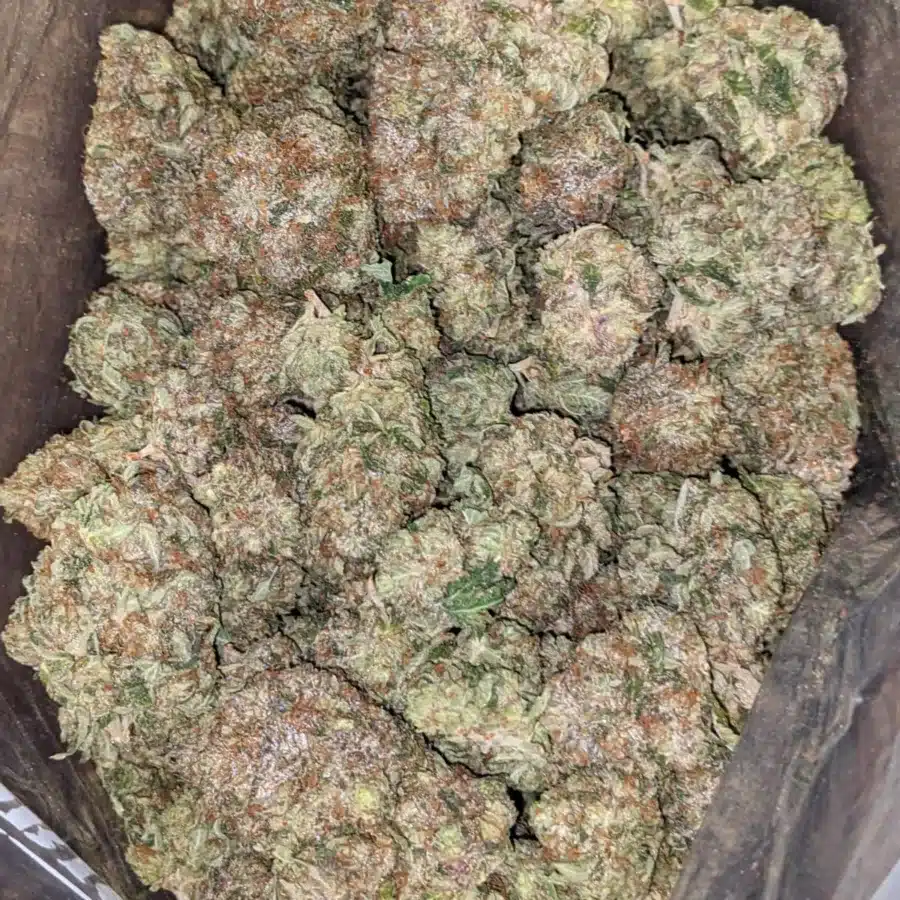 El Murette 2 I $ 64 Oz - El Murette
