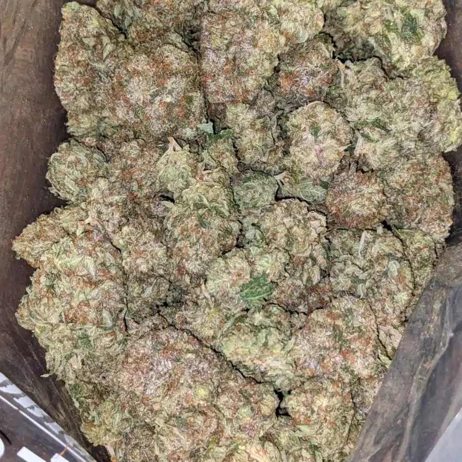 El Murette 3 I $ 64 Oz - El Murette