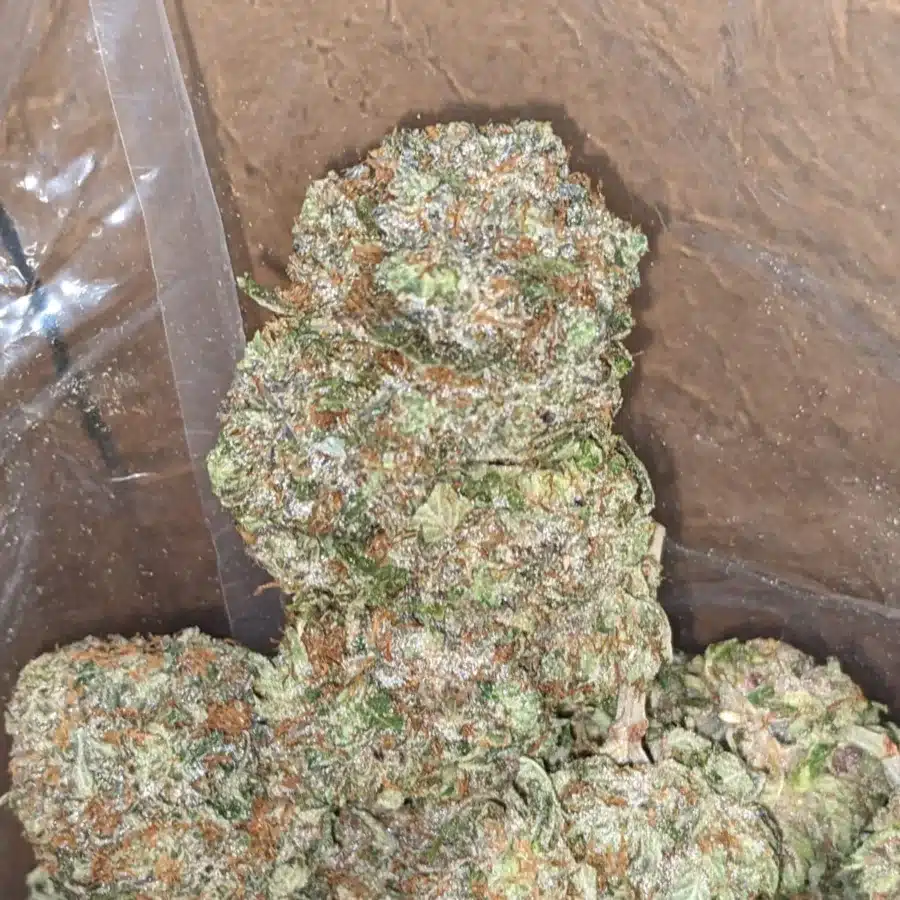 El Murette 4 I $ 64 Oz - El Murette