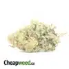 $ 75 Oz - Fruit Gushers