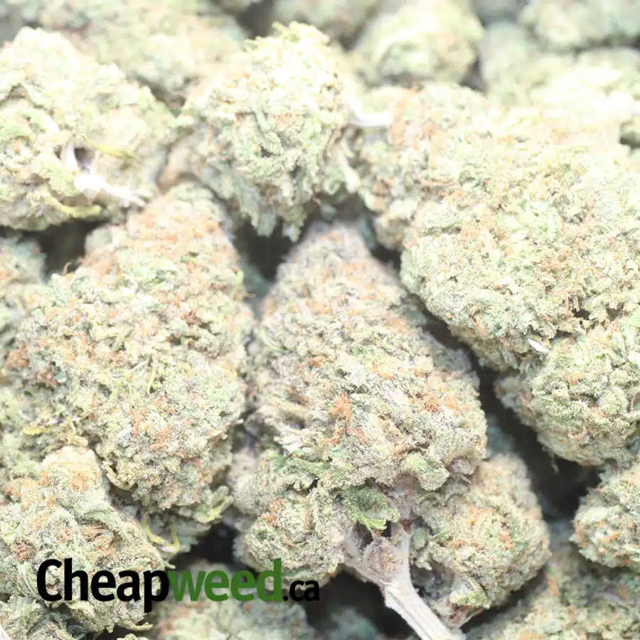 G NUKEN 1 I $ 76 Oz - Green Nuken