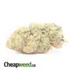 $69 Oz - Goudaberry