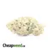 $79 Oz - Mac #10