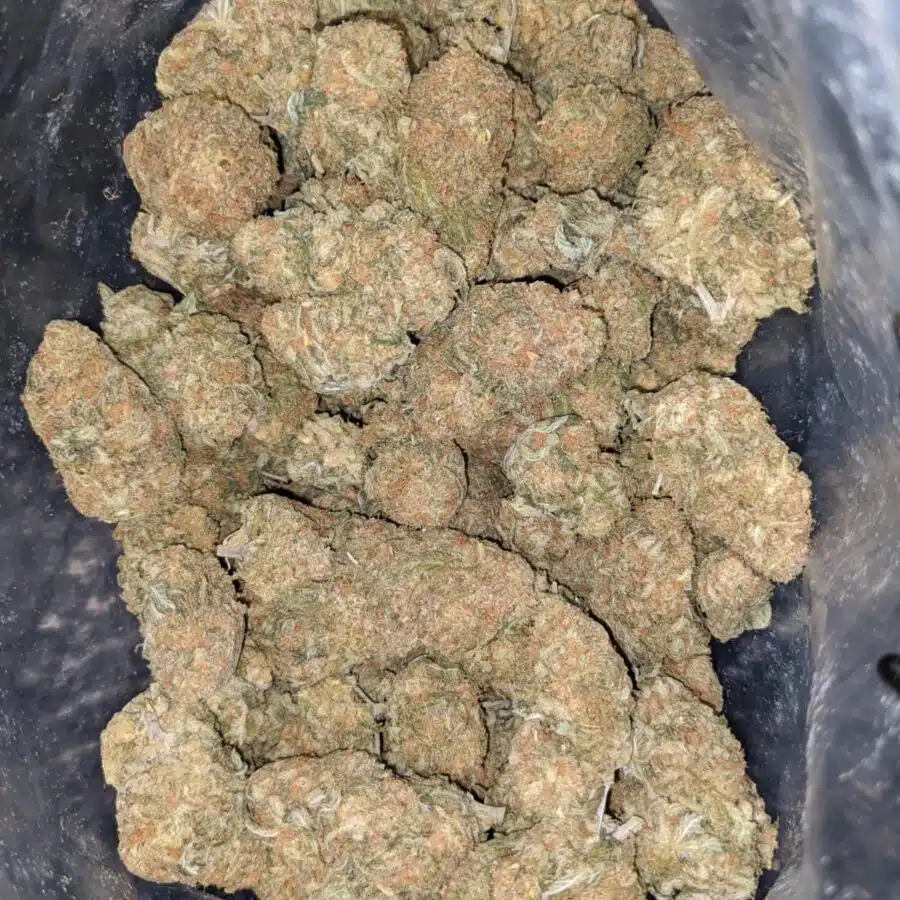 $ 69 Oz - Sherbet