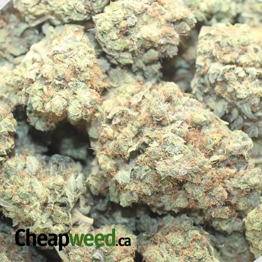 MASTER K I $ 67 Oz - Masterkush