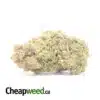 $ 79 Oz - Mimosa Cookies