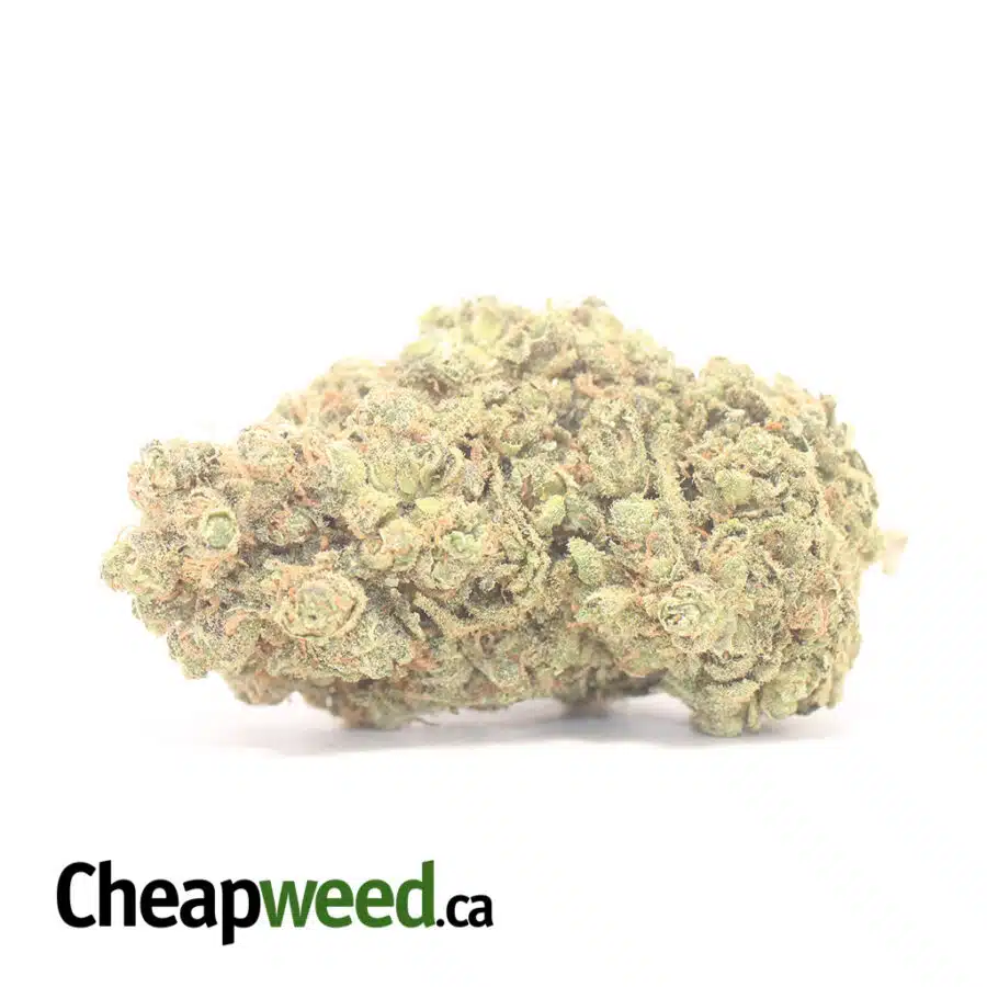 $ 79 Oz - Mimosa Cookies
