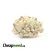 OG Kush - *Deal of the Day*