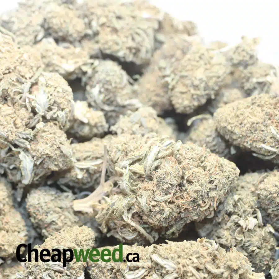 OG WRECKBS 1 I OG Wreck Bulk Special