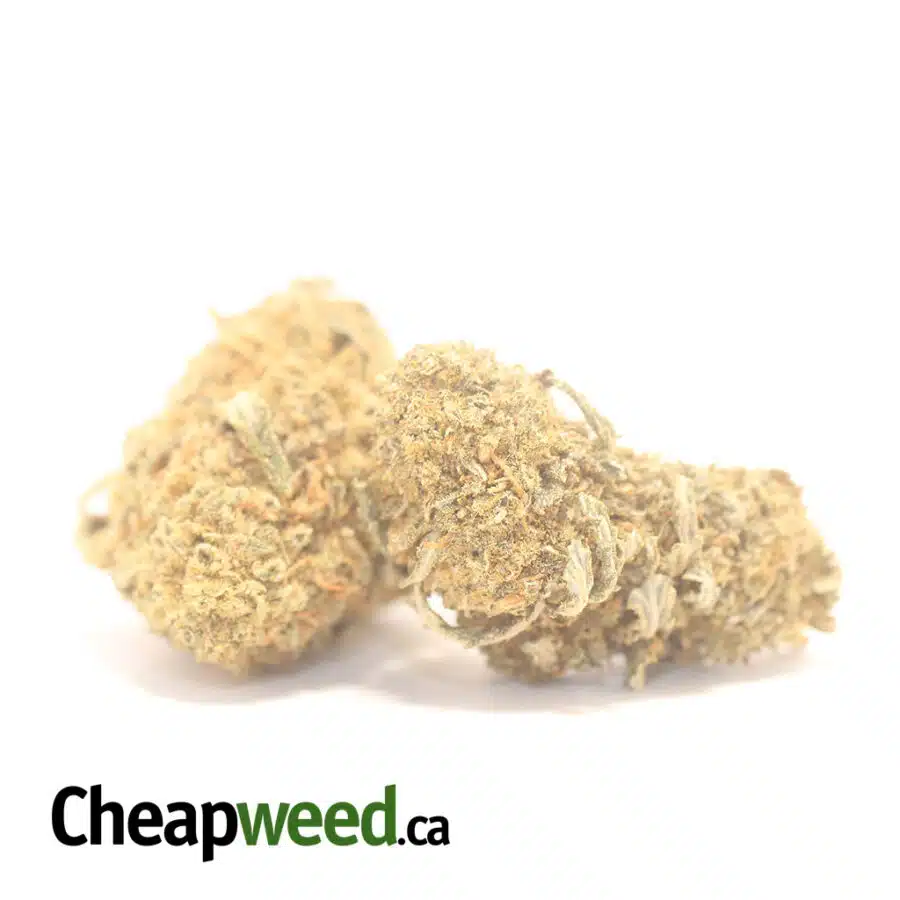 Alternative view of OG Wreck Bulk Special