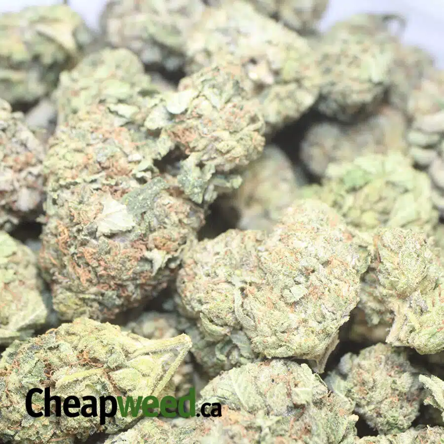 ORANGE BUBBA 1 I $ 65 Oz - Orange Bubba