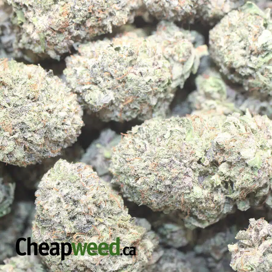 P WRECK OG AAA 1 I Purple OG Wreck