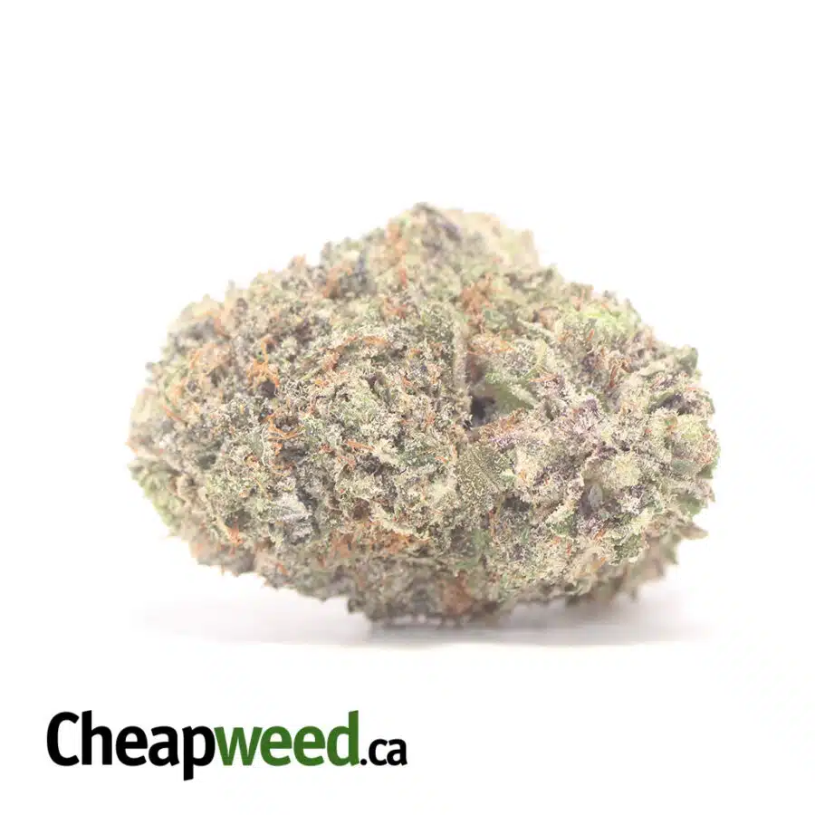 Purple OG Wreck