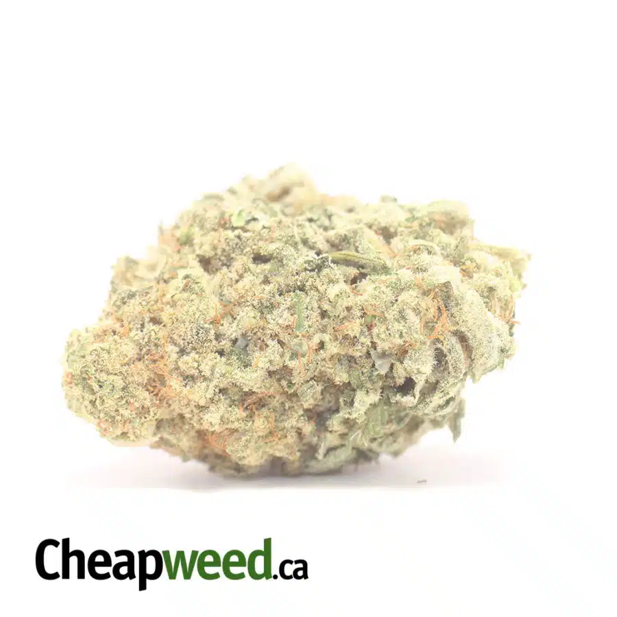 Pineapple X Silver Haze