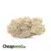 $77 Oz - Pink Bubba