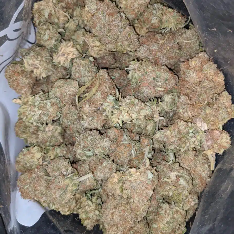 $ 65 Oz - Dosi Gelato