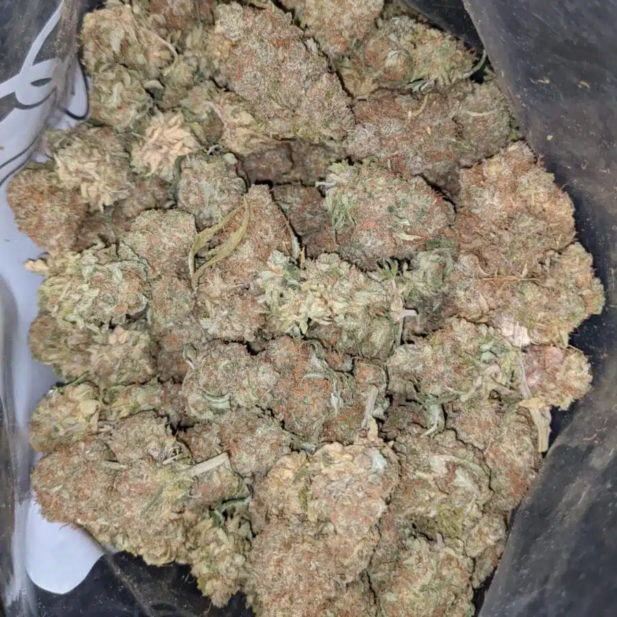 PLATINUM BERRY 2 I $ 65 Oz - Dosi Gelato