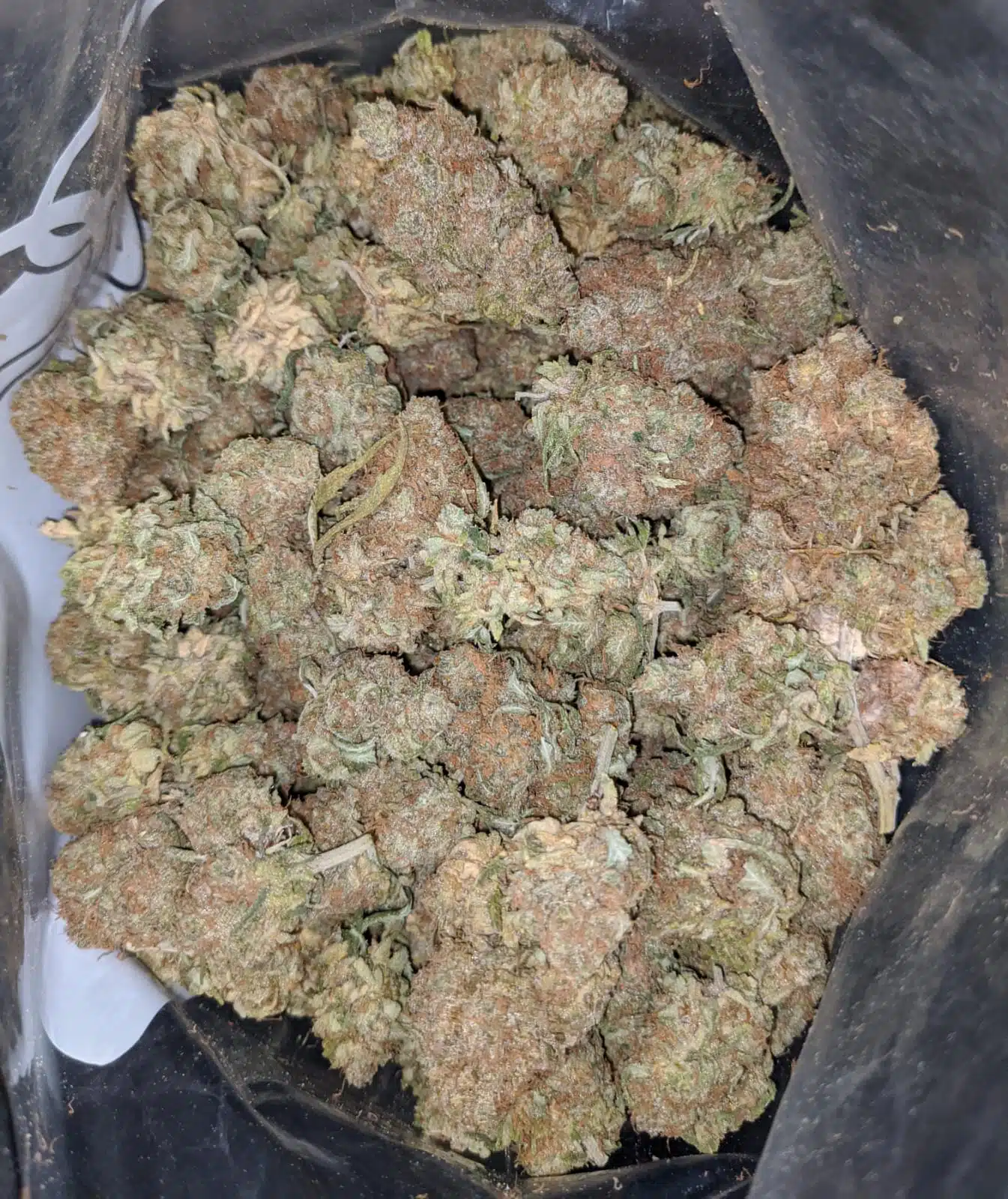 $ 65 Oz - Dosi Gelato - Image 2