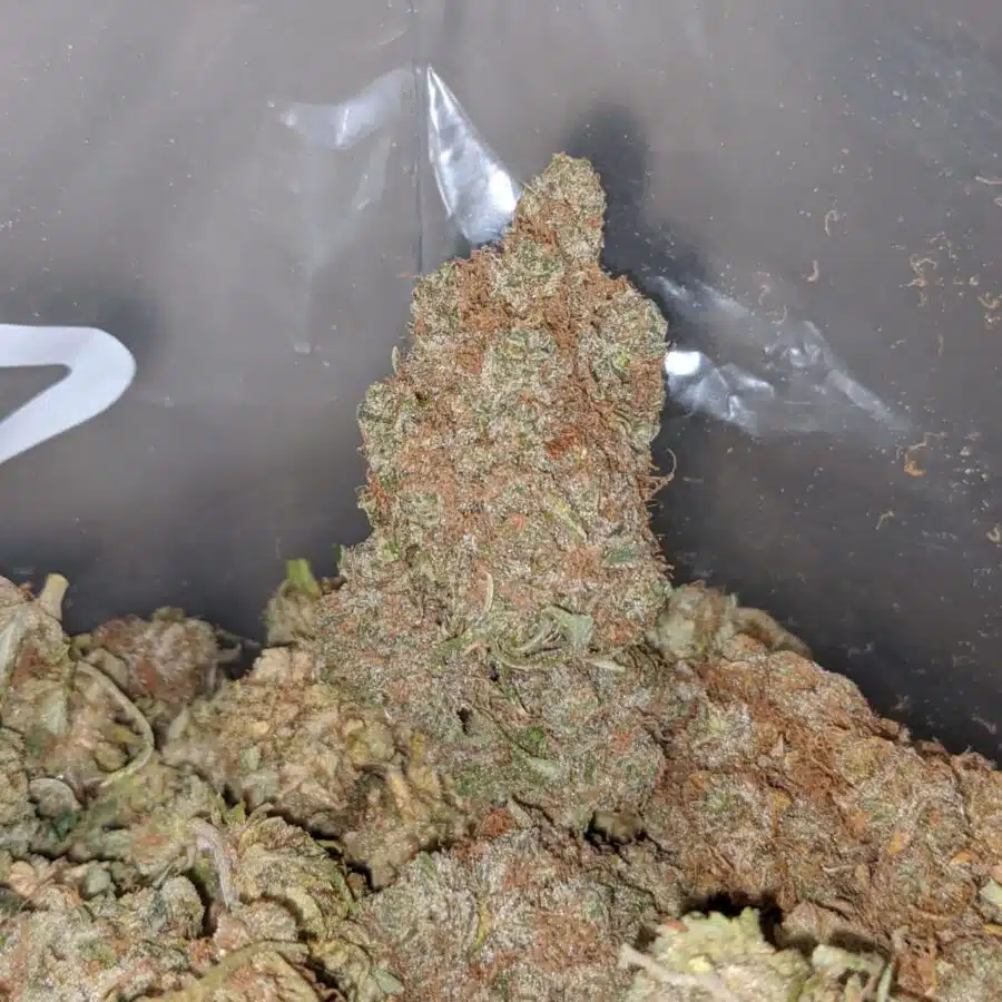 PLATINUM BERRY 3 I $ 65 Oz - Dosi Gelato