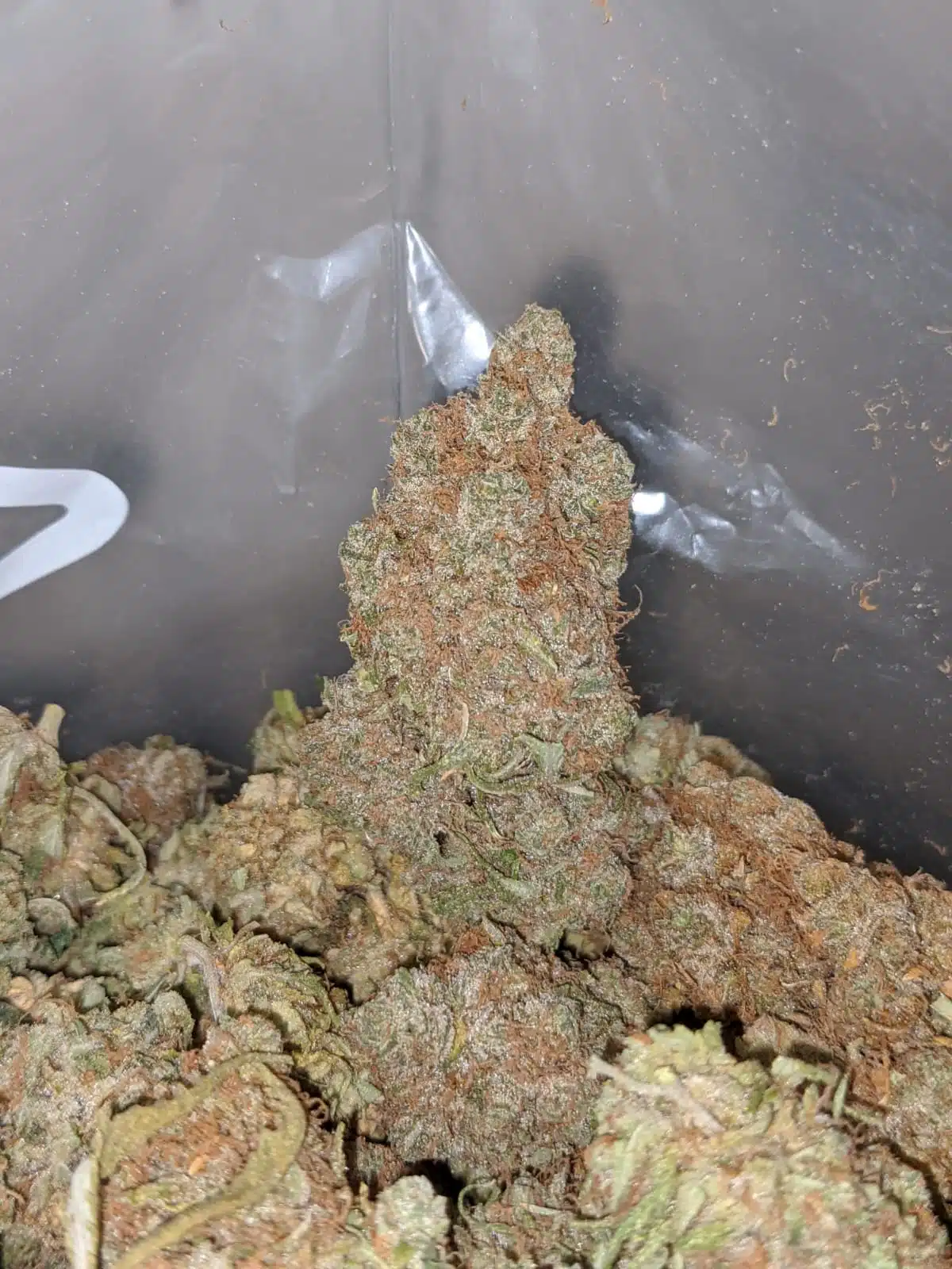 $ 65 Oz - Dosi Gelato - Image 5