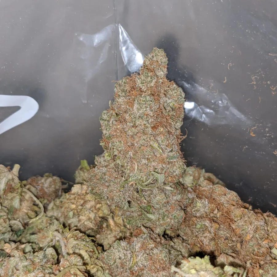 PLATINUM BERRY 4 I $ 65 Oz - Dosi Gelato