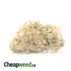 Purple Nuken - *Deal of the Day*
