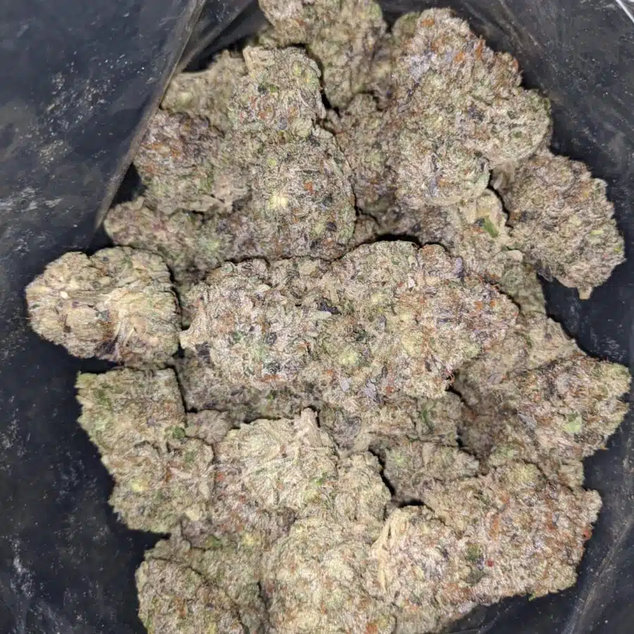 Alternative view of Pink Rozay AAAA