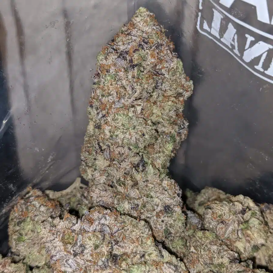 Pink Rozay AAAA 4 I Pink Rozay AAAA