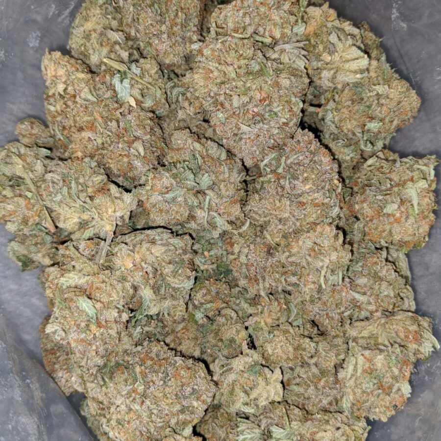 RACEFUEL 2 I Racefuel OG
