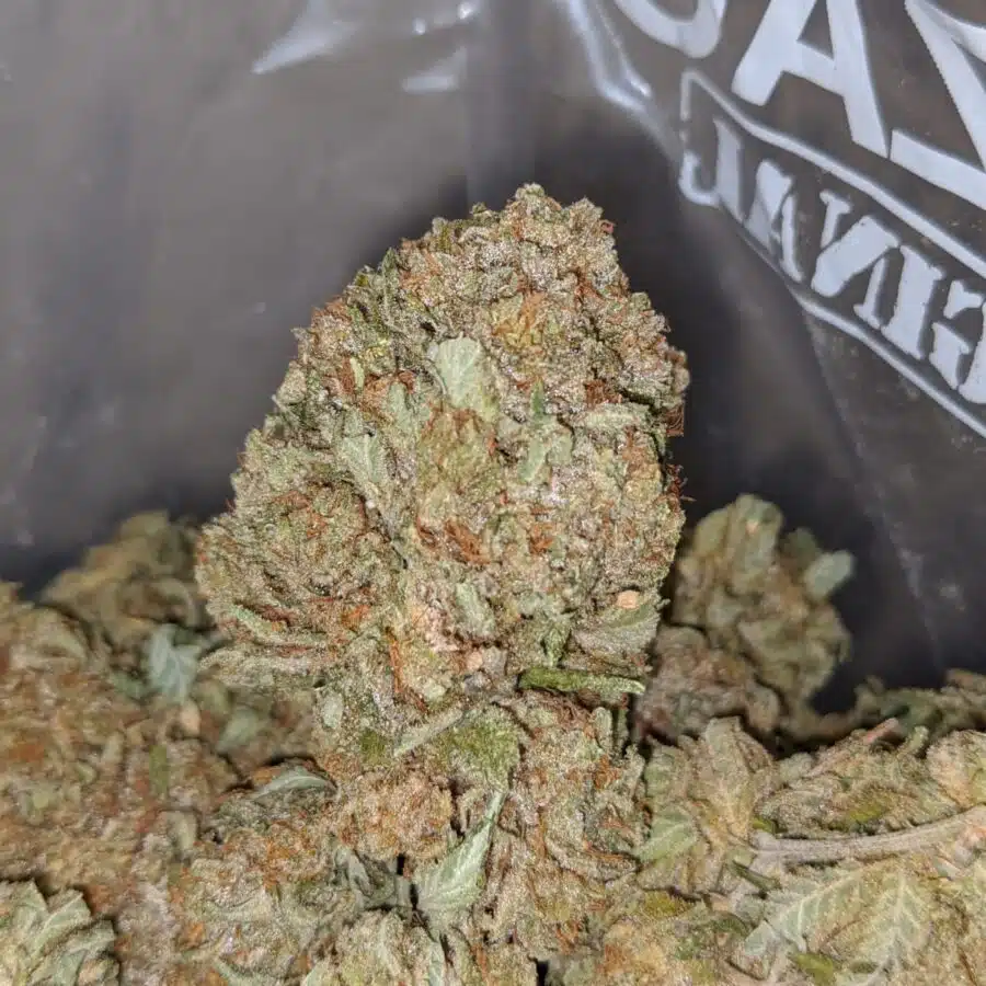 RACEFUEL 3 I Racefuel OG