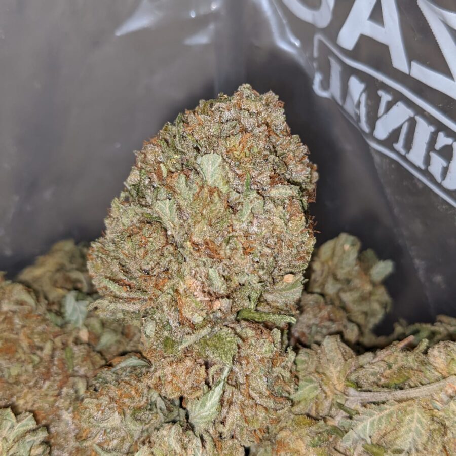 RACEFUEL 4 I Racefuel OG