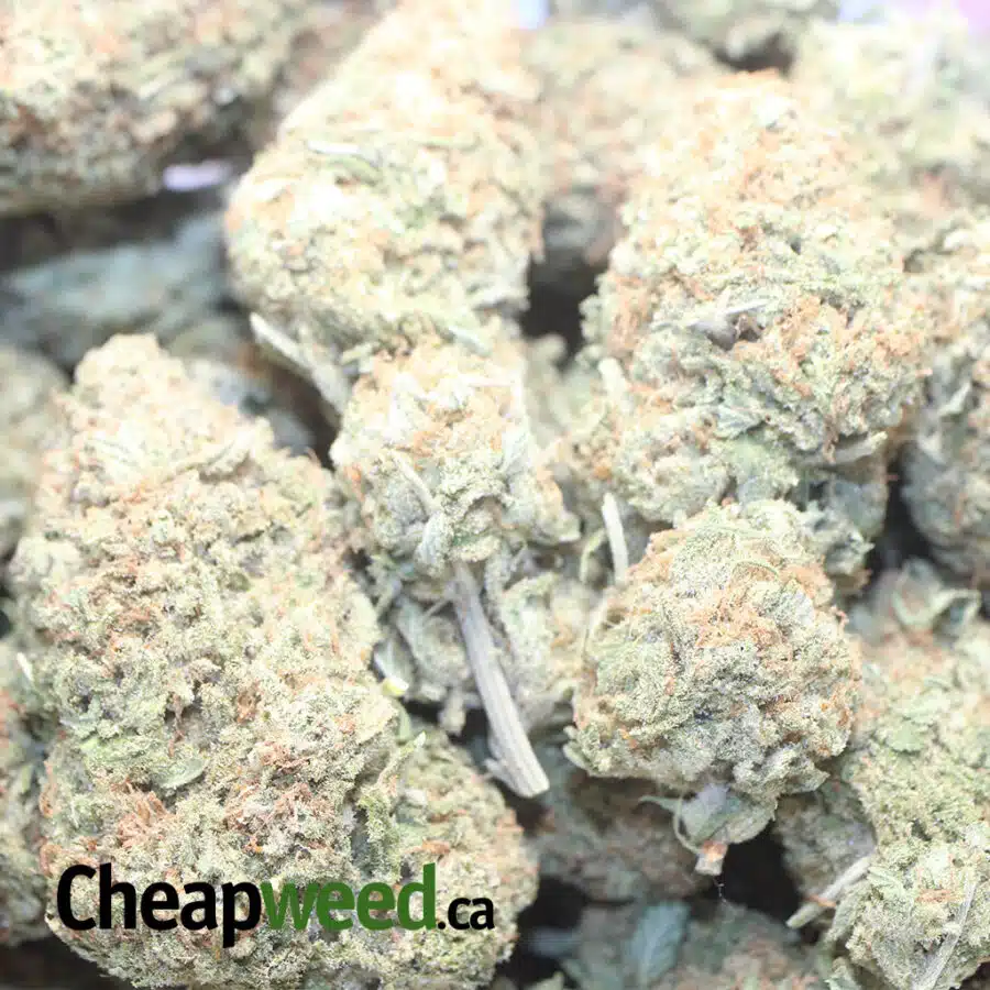 S COOKIES AAA 1 I $ 68 Oz - Sugar Cookies