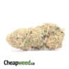 $ 68 Oz - Sugar Cookies