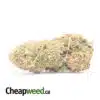$ 68 Oz - Sugar Cookies