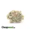 Sugar Shack - *Deal Of The Day*