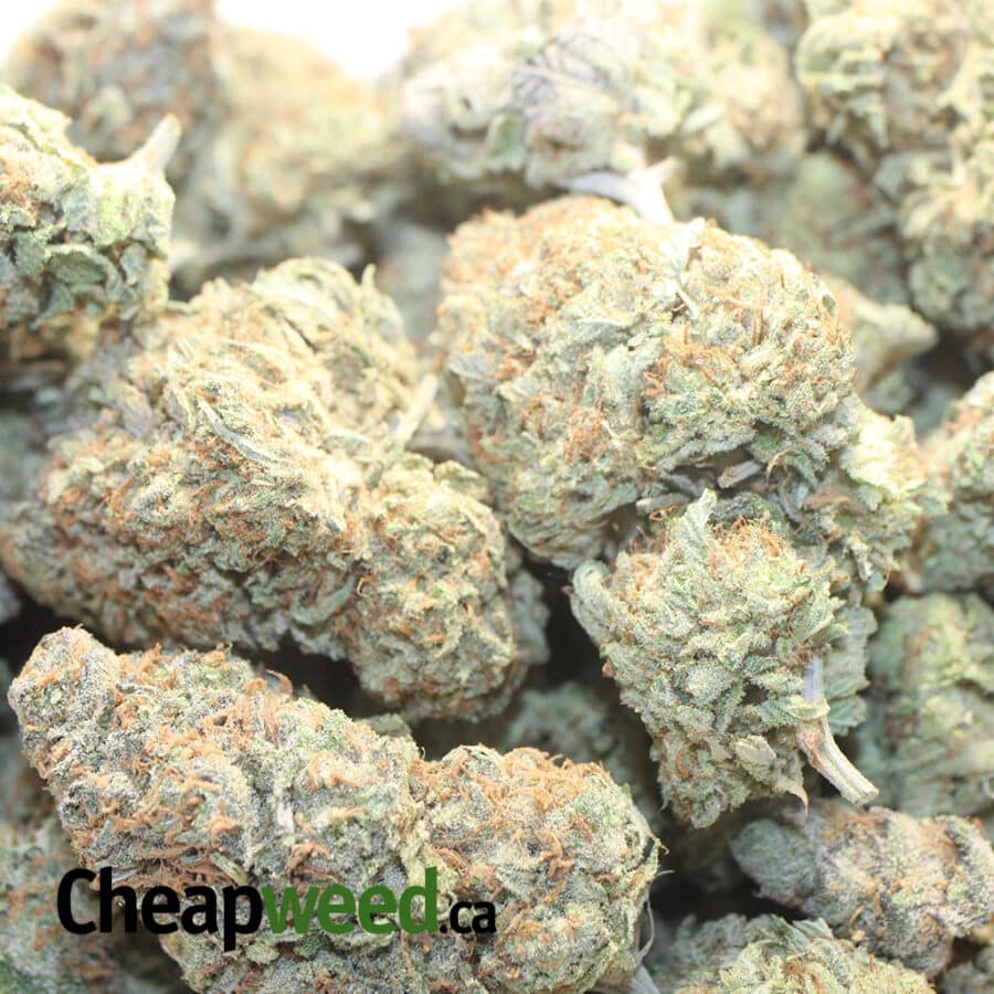 SB LEM 1 I Strawberry Lemonade