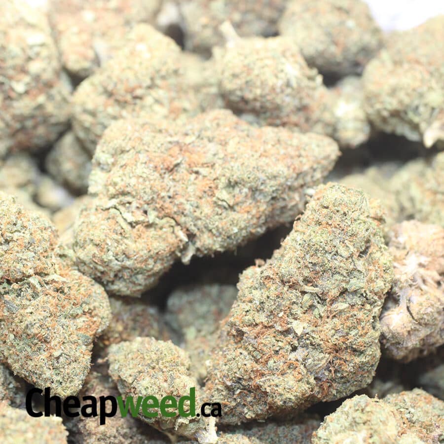 Sour Bubba - *Deal Of The Day* - Image 3