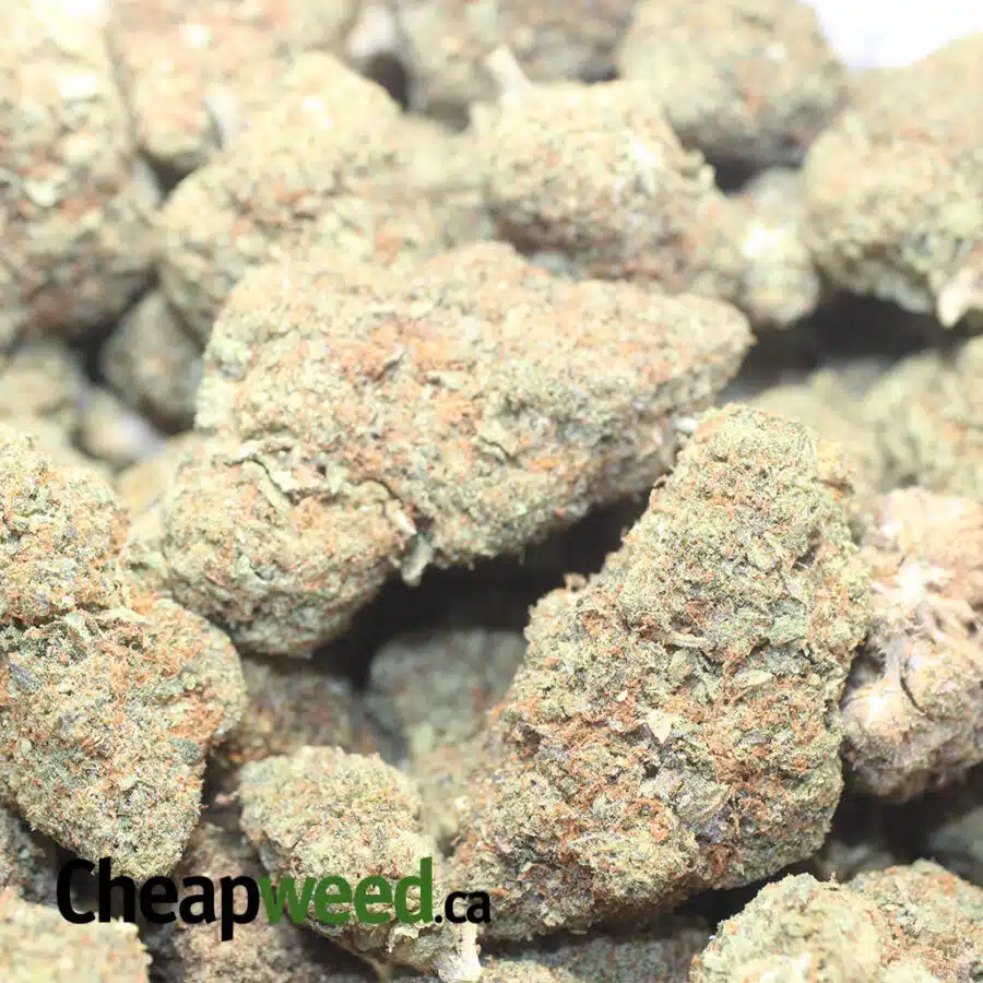 SOUR BUBBA DOD 1 I Sour Bubba - *Deal Of The Day*