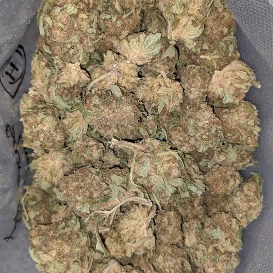 Sour Grape AA 1 I AA Sour Grape