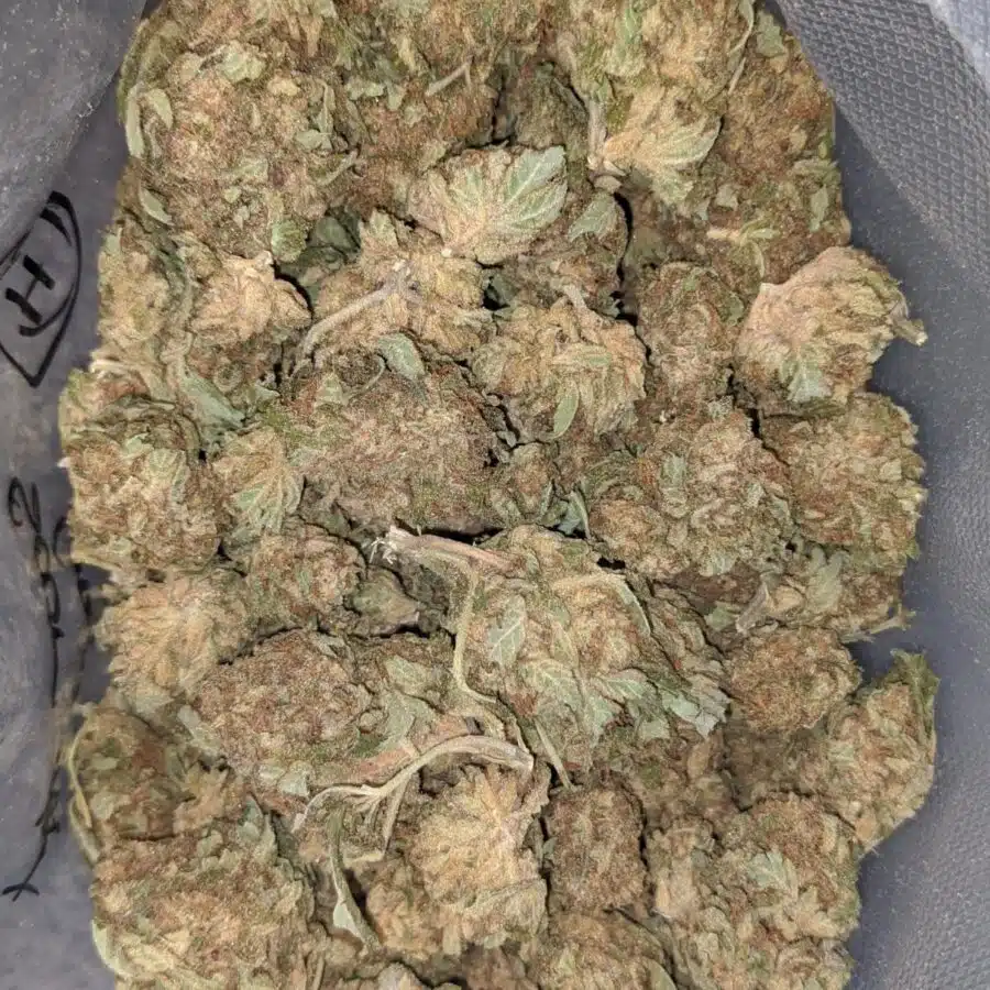 Sour Grape AA 2 I AA Sour Grape