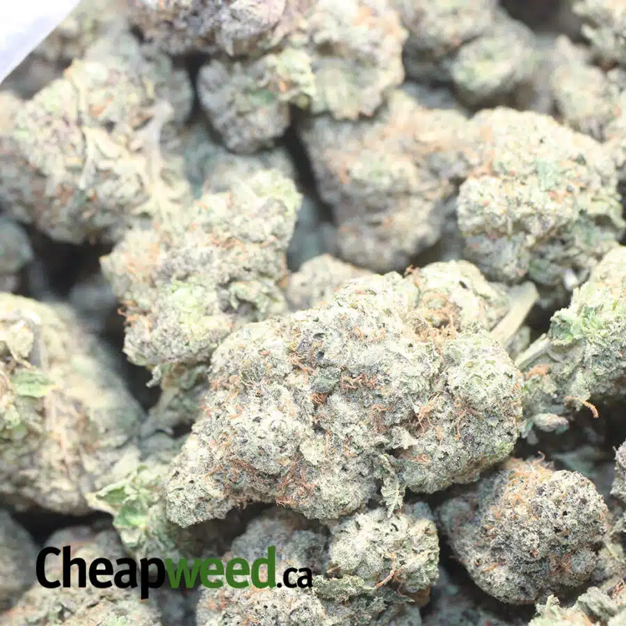 TROP C I $75 Oz - Tropicana Cookies