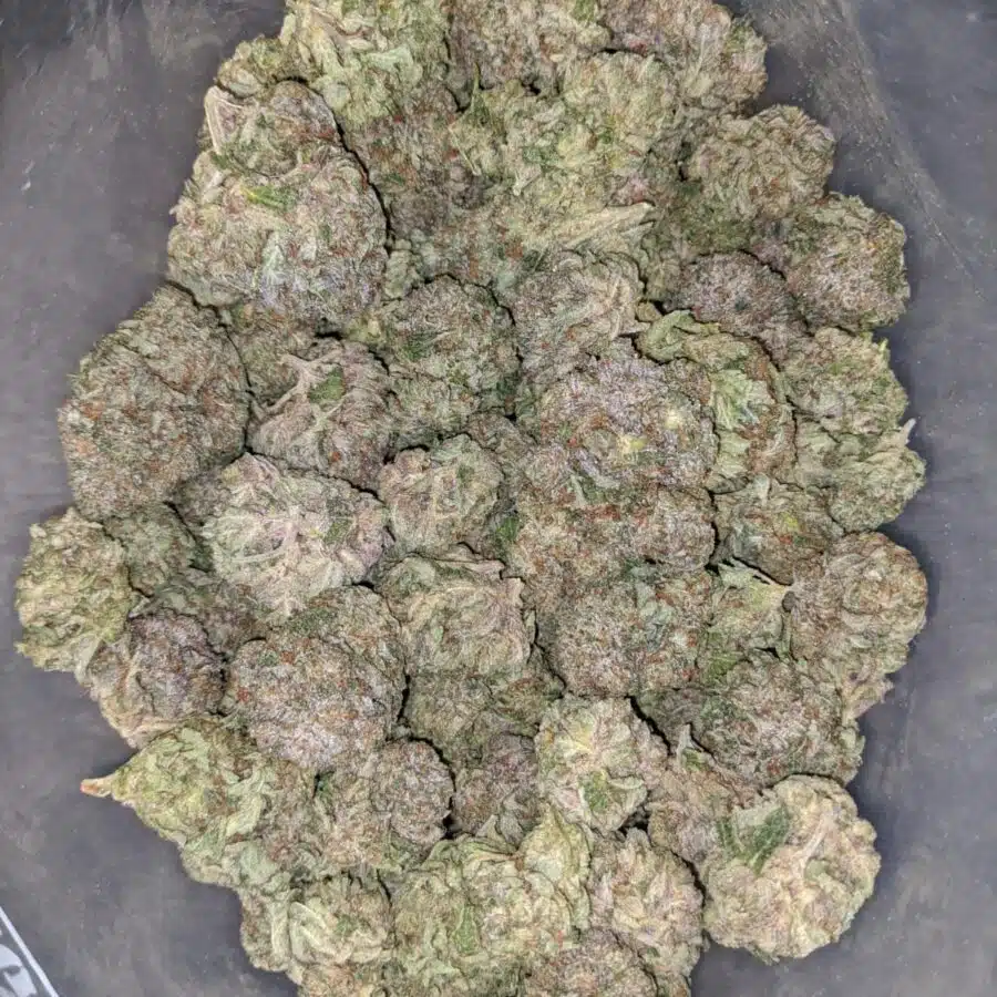 Tonys Rockstar Kush 1 I Tony's Rockstar Kush #2