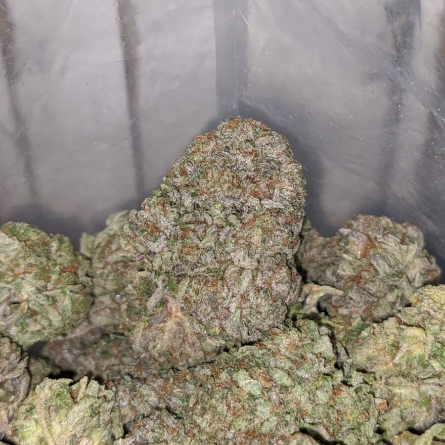 Tonys Rockstar Kush 3 I Tony's Rockstar Kush #2