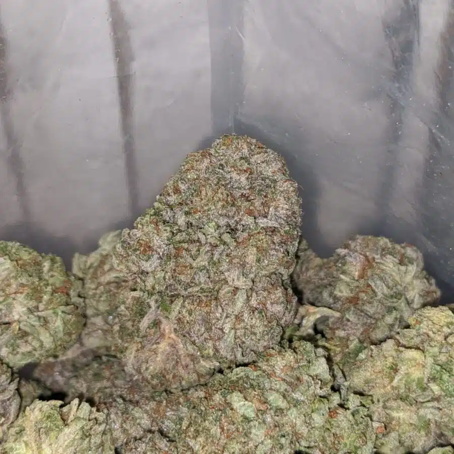 Tonys Rockstar Kush 4 I Tony's Rockstar Kush #2