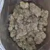 White God