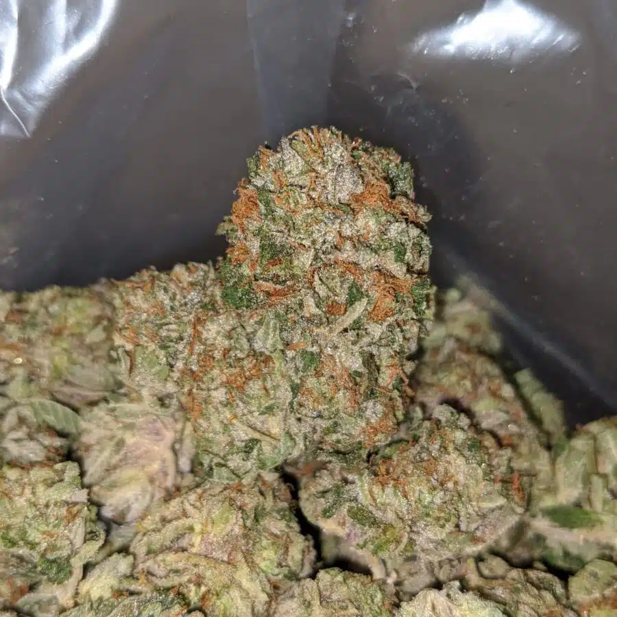 Alternative view of $ 78 Oz - Greasy Bubba Kush