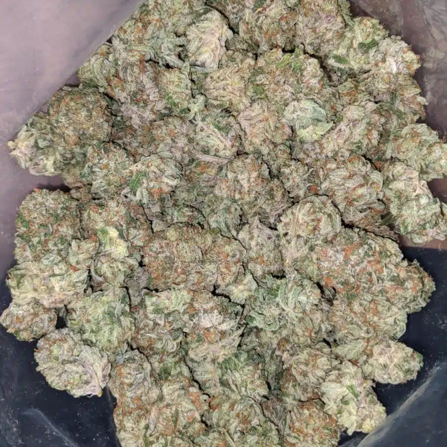 WhatsApp Image 2023 06 01 at 1.12.27 PM I $ 78 Oz - Greasy Bubba Kush